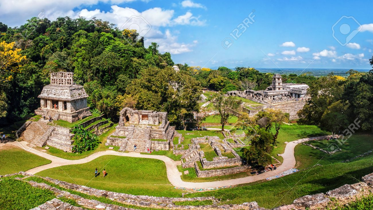 Maya Jungle Tours : Plongez dans les mystères antiques