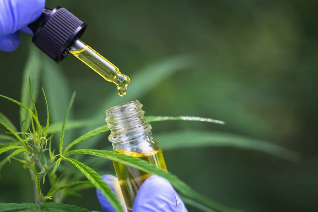 CBD Oil: Your Natural Solution to Pain Management